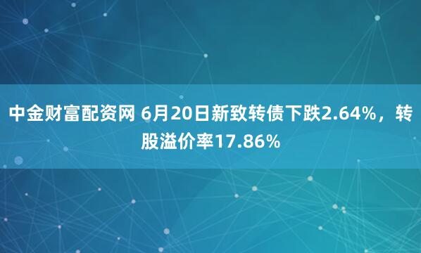 中金财富配资网 6月20日新致转债下跌2.64%，转股溢价率17.86%