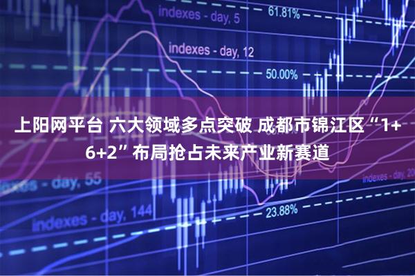 上阳网平台 六大领域多点突破 成都市锦江区“1+6+2”布局抢占未来产业新赛道